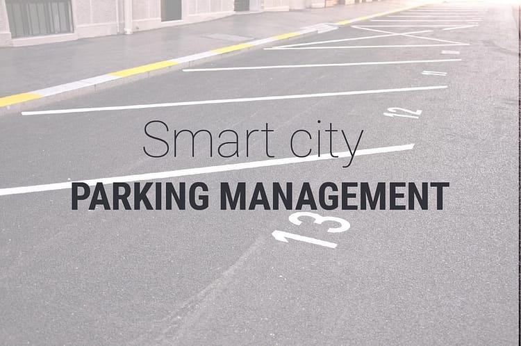 parking-management-city-maintenance-public-authorities-local